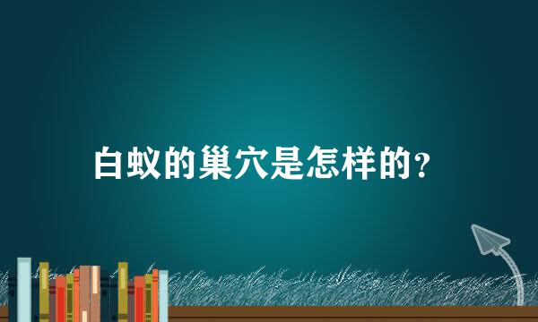 白蚁的巢穴是怎样的？