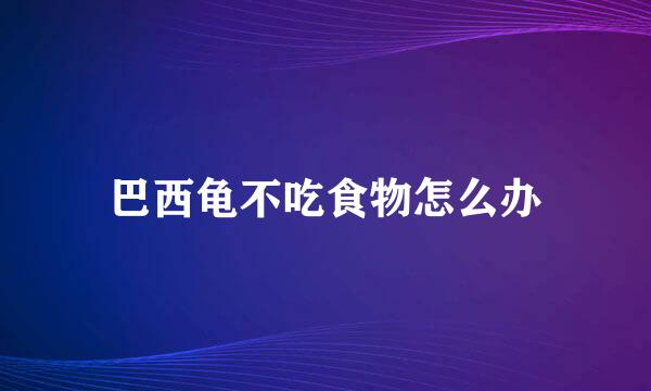 巴西龟不吃食物怎么办