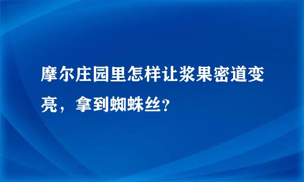 摩尔庄园里怎样让浆果密道变亮，拿到蜘蛛丝？