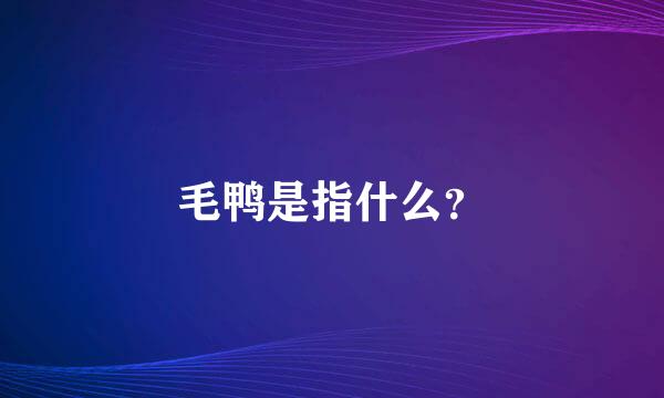 毛鸭是指什么？