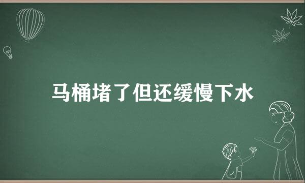 马桶堵了但还缓慢下水