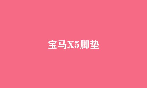 宝马X5脚垫