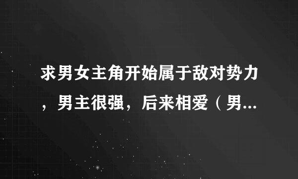 求男女主角开始属于敌对势力，男主很强，后来相爱（男主先爱上女主）最后一起对抗敌人的小说，电视剧也行