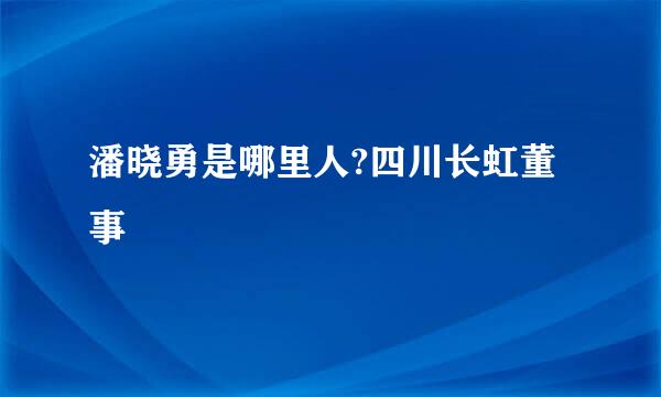 潘晓勇是哪里人?四川长虹董事