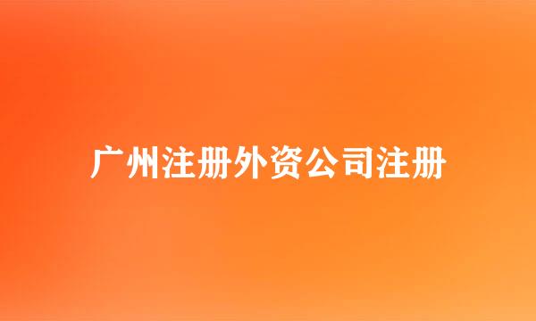 广州注册外资公司注册