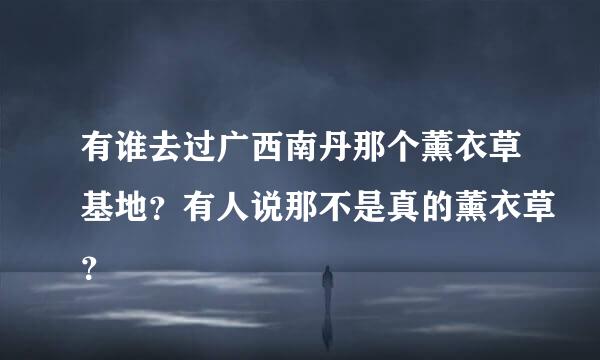 有谁去过广西南丹那个薰衣草基地？有人说那不是真的薰衣草？