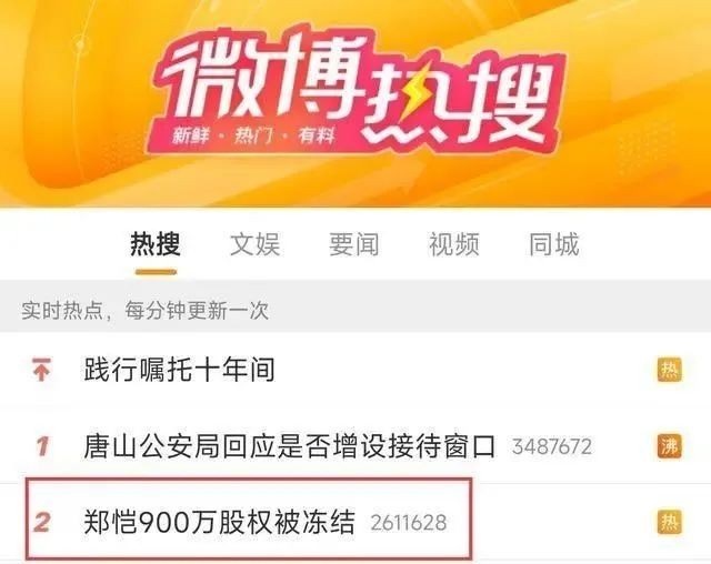 郑恺 900 万股权被冻结，是什么原因？