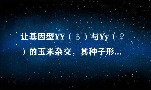 让基因型YY（♂）与Yy（♀）的玉米杂交，其种子形成和萌发过程如图所示（甲、乙、丙代表相关结构）．下列