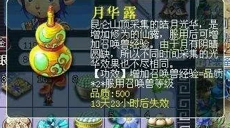 梦幻西游宝宝怎么练