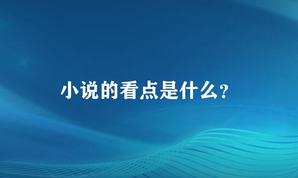 小说的看点是什么？