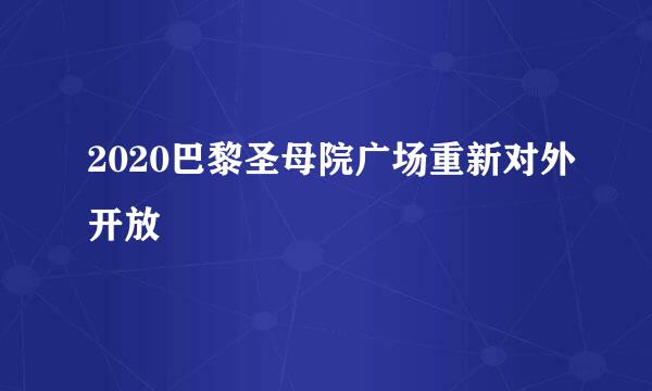 2020巴黎圣母院广场重新对外开放