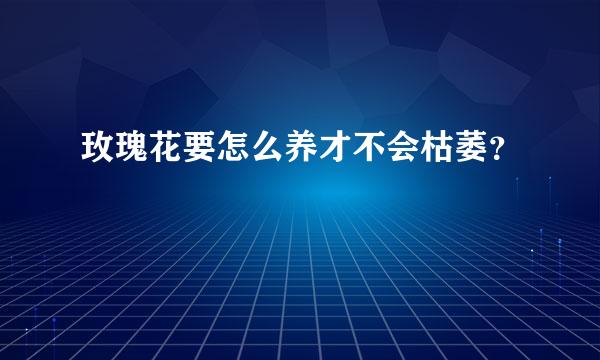 玫瑰花要怎么养才不会枯萎？