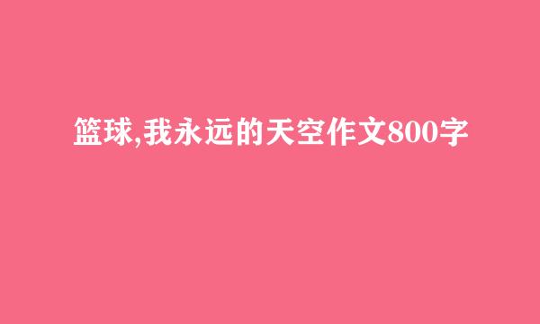 篮球,我永远的天空作文800字