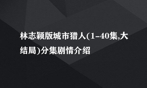 林志颖版城市猎人(1-40集,大结局)分集剧情介绍