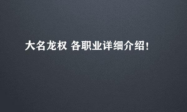 大名龙权 各职业详细介绍！