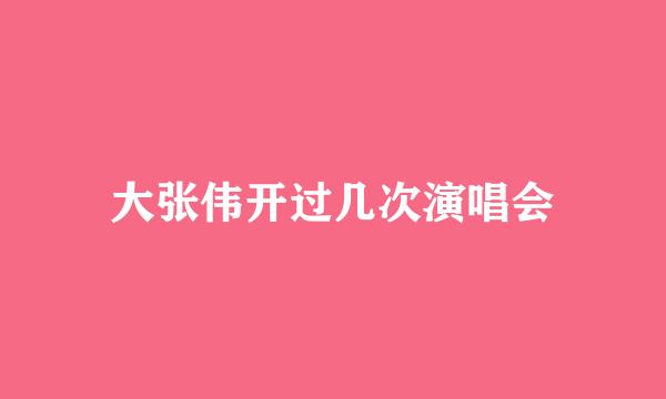 大张伟开过几次演唱会