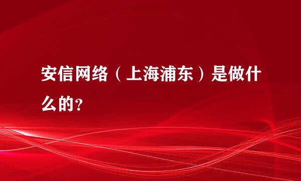 安信网络（上海浦东）是做什么的？