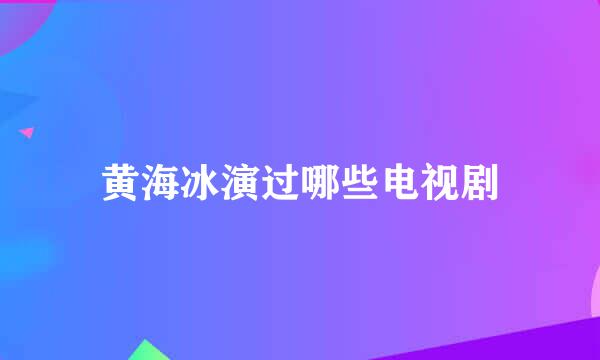 黄海冰演过哪些电视剧