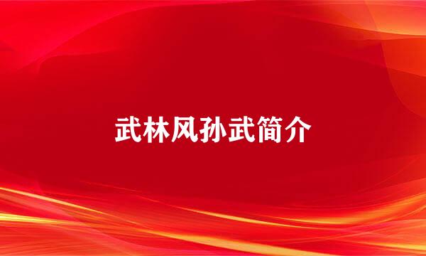 武林风孙武简介