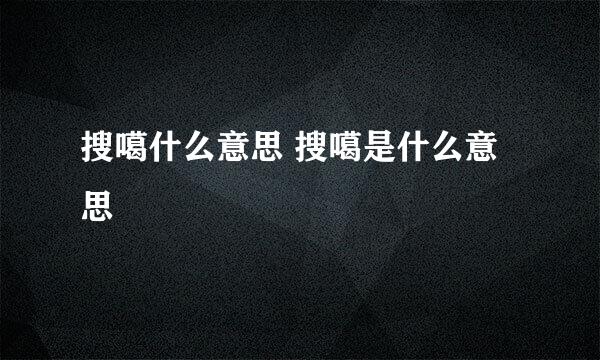 搜噶什么意思 搜噶是什么意思