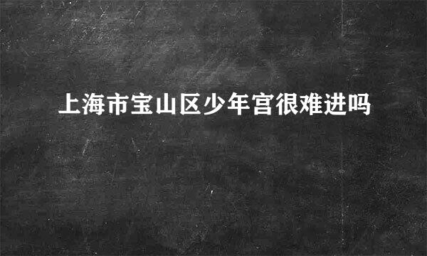 上海市宝山区少年宫很难进吗