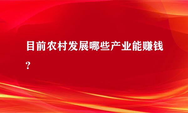 目前农村发展哪些产业能赚钱？