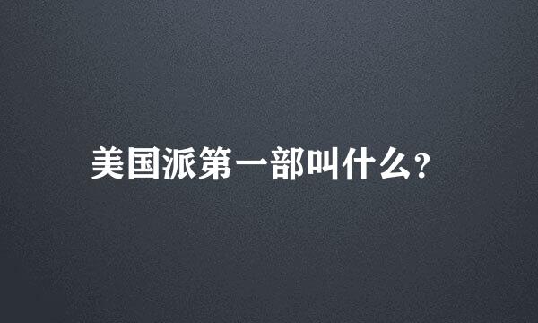 美国派第一部叫什么？