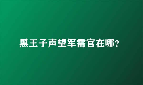 黑王子声望军需官在哪？