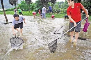 广西暴雨涨水后男子路边捞鱼，这种行为存在哪些安全隐患？