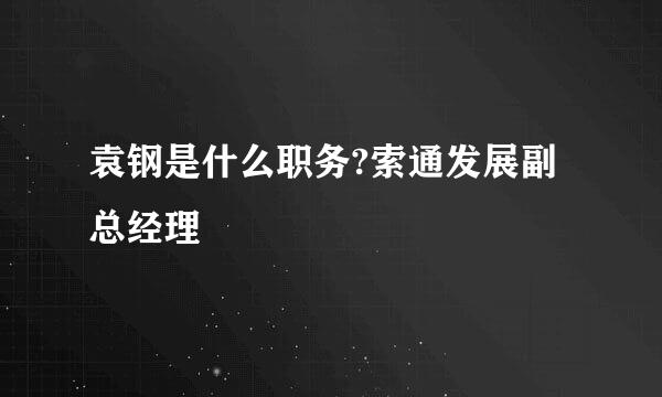 袁钢是什么职务?索通发展副总经理