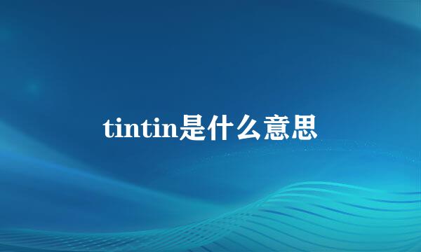 tintin是什么意思