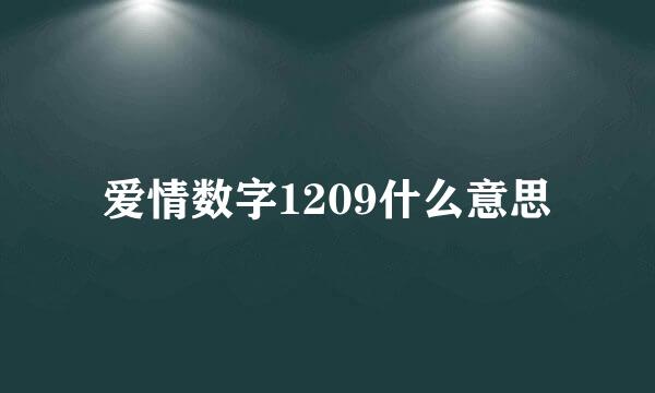 爱情数字1209什么意思