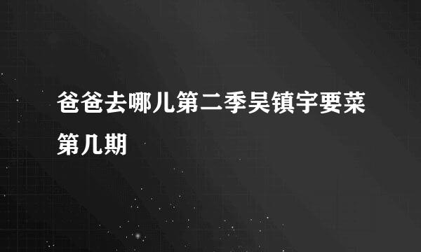 爸爸去哪儿第二季吴镇宇要菜第几期