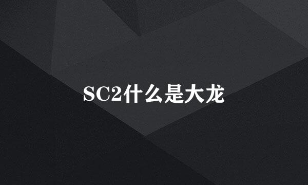 SC2什么是大龙