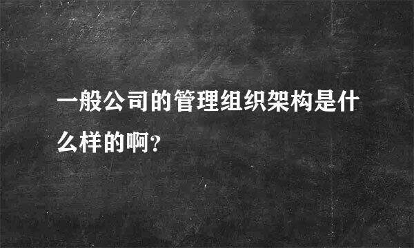 一般公司的管理组织架构是什么样的啊？