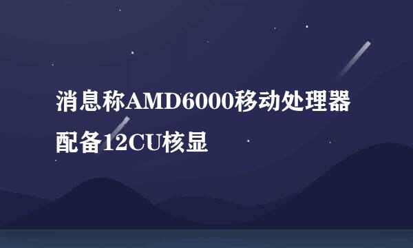 消息称AMD6000移动处理器配备12CU核显