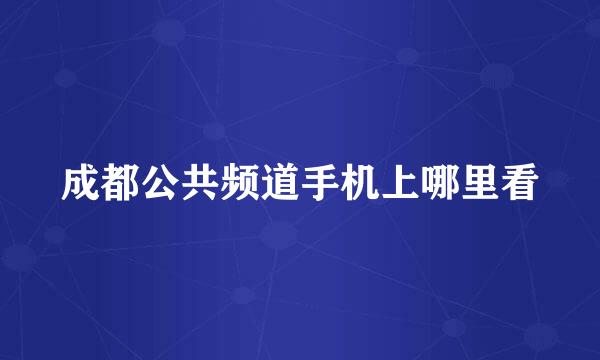 成都公共频道手机上哪里看