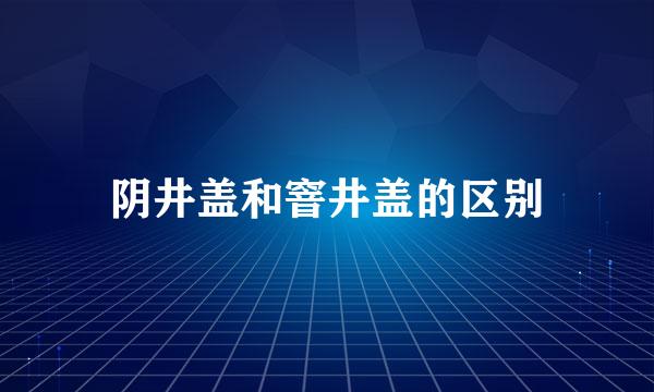 阴井盖和窨井盖的区别