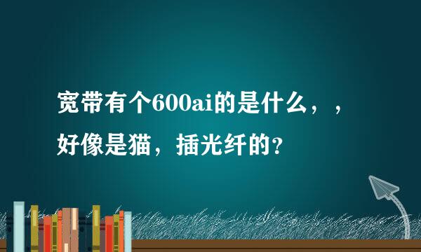 宽带有个600ai的是什么，，好像是猫，插光纤的？