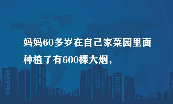 妈妈60多岁在自己家菜园里面种植了有600棵大烟，