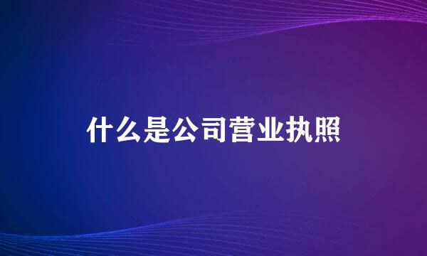 什么是公司营业执照