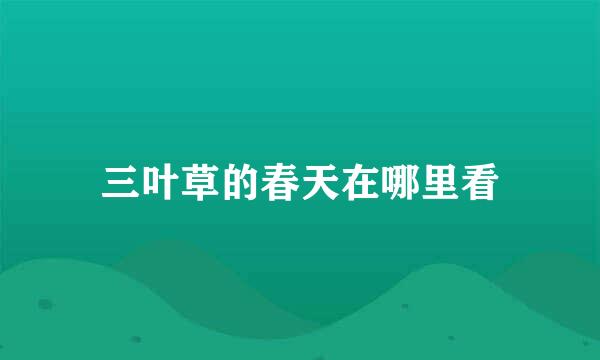 三叶草的春天在哪里看