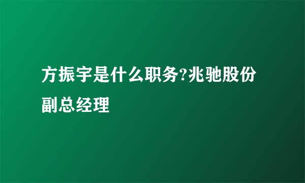 方振宇是什么职务?兆驰股份副总经理