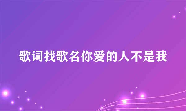 歌词找歌名你爱的人不是我