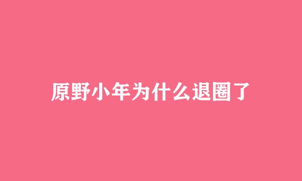 原野小年为什么退圈了