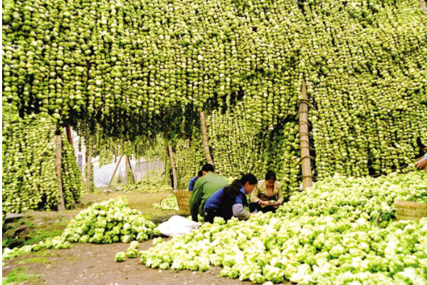 涪陵榨菜部分产品最高涨价19%，连榨菜的价格都上涨了，这意味着什么？