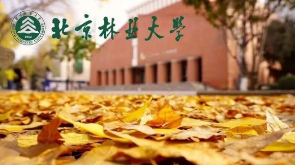 北京林业大学分数线多少分？