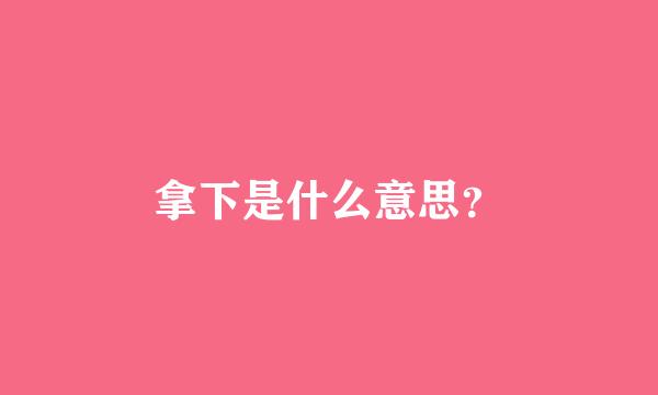 拿下是什么意思？