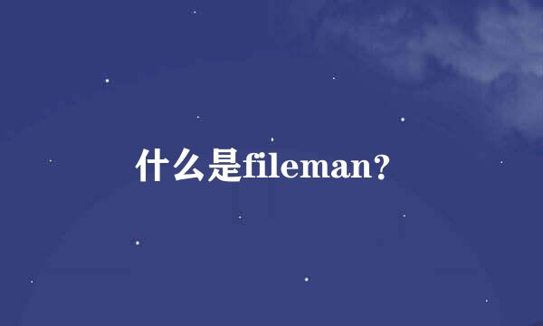 什么是fileman？