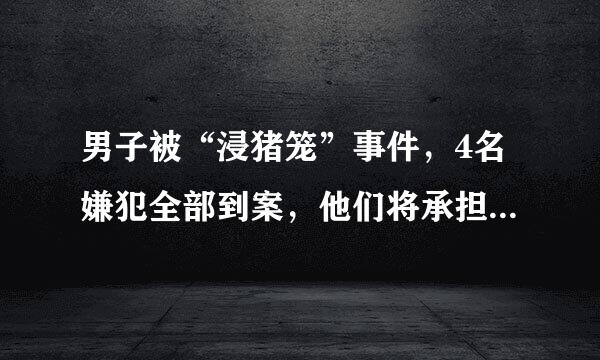 男子被“浸猪笼”事件，4名嫌犯全部到案，他们将承担怎么的法律责任？